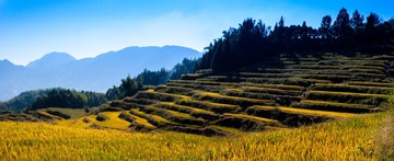 DSC_9901-Pano