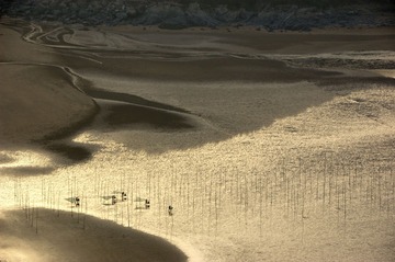20100430-_DSC2279
