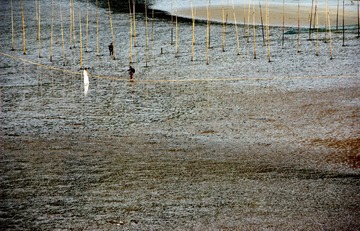 20100501-_DSC2976