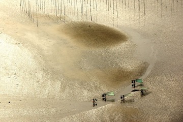 20100430-_DSC2110