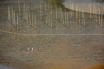 20100501-_DSC2865
