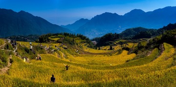 DSC_9988-Pano