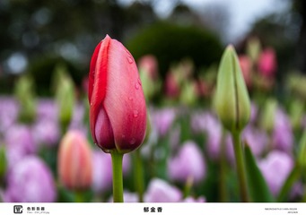 C6741997-A771-4B10-94EC-DC7B23455658/L0/001