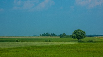 D840E7D2-F2DD-441A-B7DD-D86A024F379E/L0/001