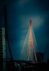 07CBD01D-4EC2-4E63-9D51-034A53A18C9B/L0/001