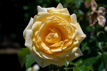 564F0B5E-0BCE-4F9F-AE2E-8E640F3051DF/L0/001