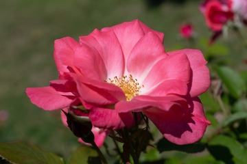 78FD0BEF-59F7-410B-9E51-EE7BB7C7811F/L0/001
