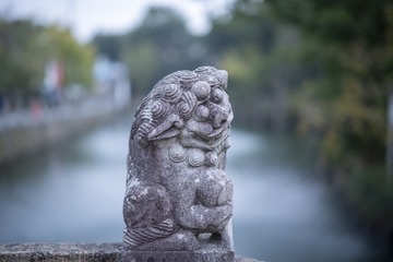 DSC_3081 拷贝