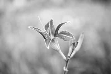 B9949BA1-3AB1-4454-A447-13708F8D377F/L0/001