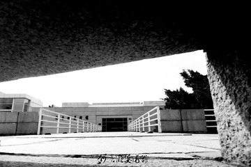 DSCF4664.jpg