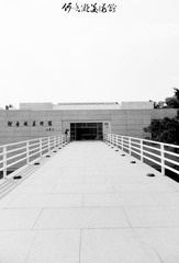 DSCF4666.jpg