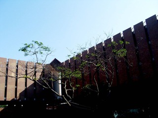 SDC15504.JPG