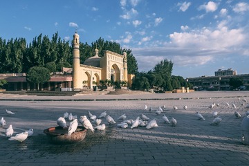 P1190650