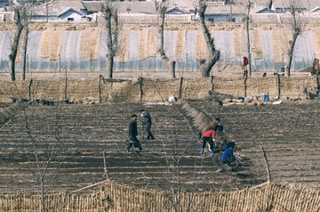 朝鲜农村2