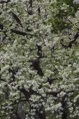 722AC1AB-B086-4DBE-83E9-BA857AF89C3A/L0/001