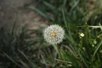 IMG_2305.JPG