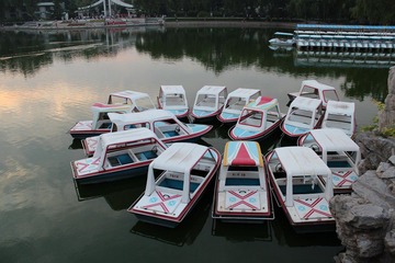 IMG_2717.JPG