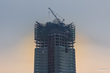白玉兰