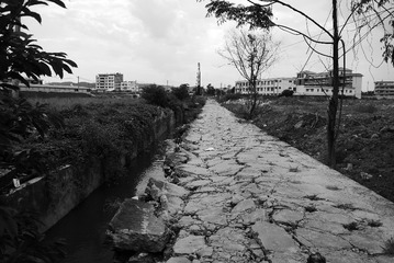 P1030226