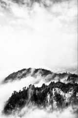 SDIM0055.jpg