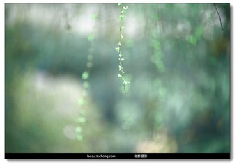 IMG_1787.jpg