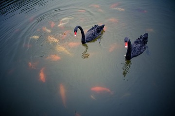 IMG_4699.jpg