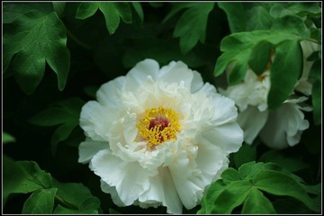 DSC_5738.JPG