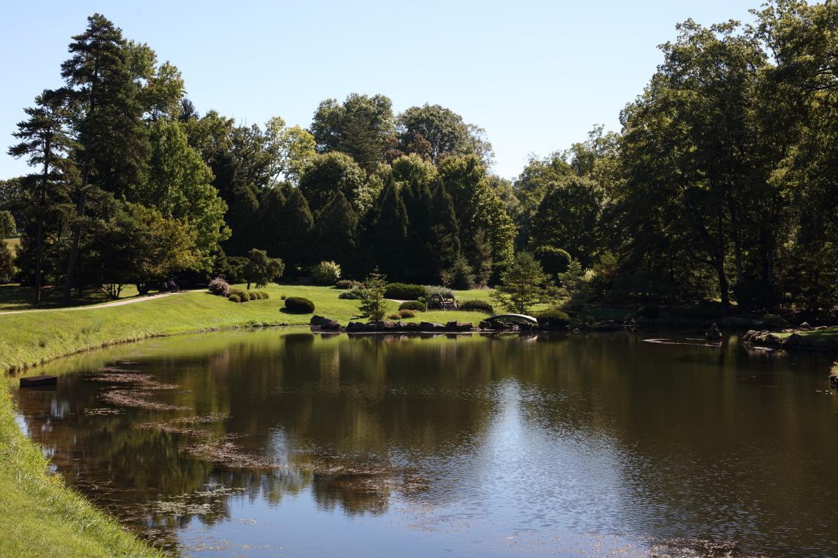 俄亥俄州一位农民留下的庄园被改造成了占地2000多英亩的树木公园