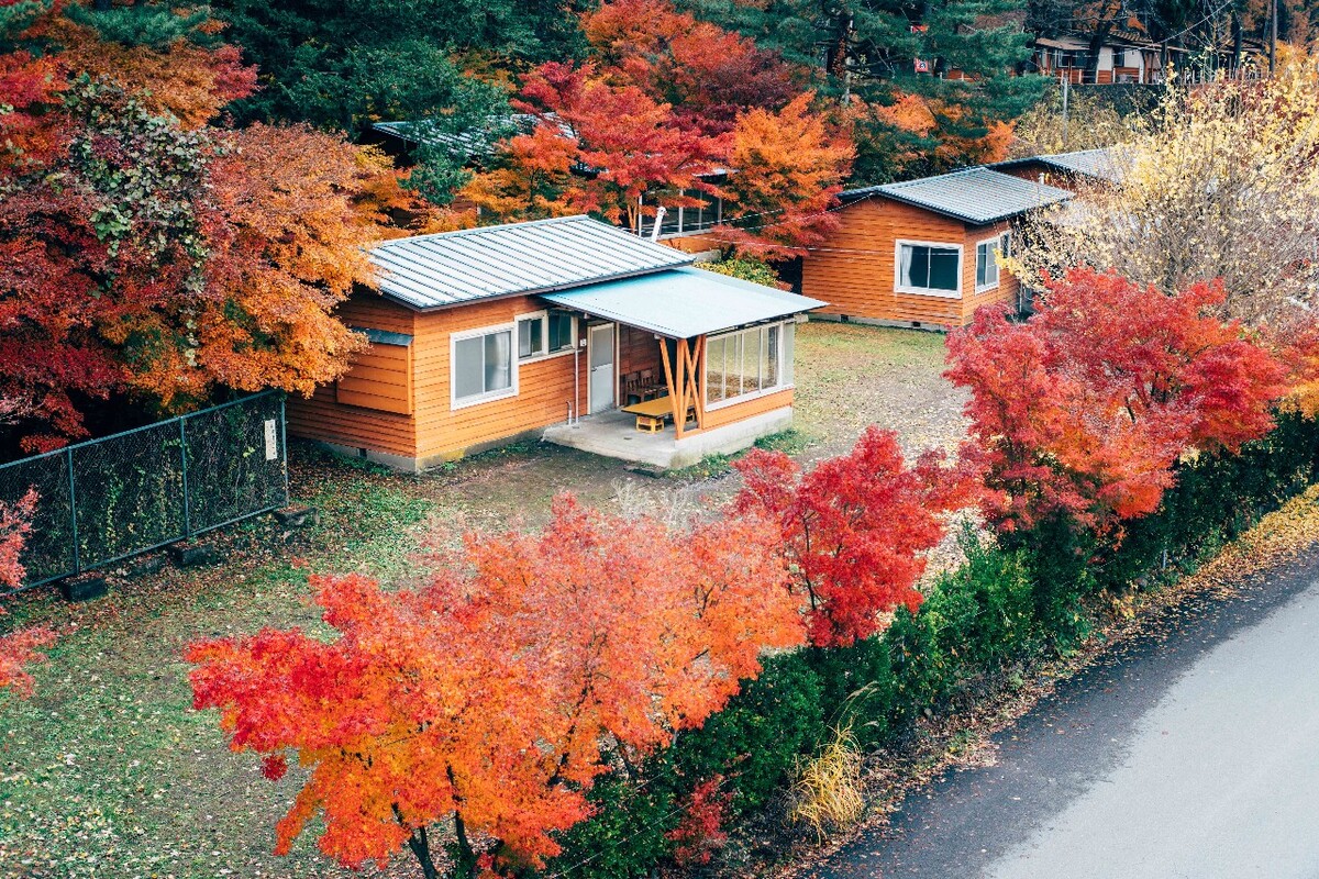 枫叶屋