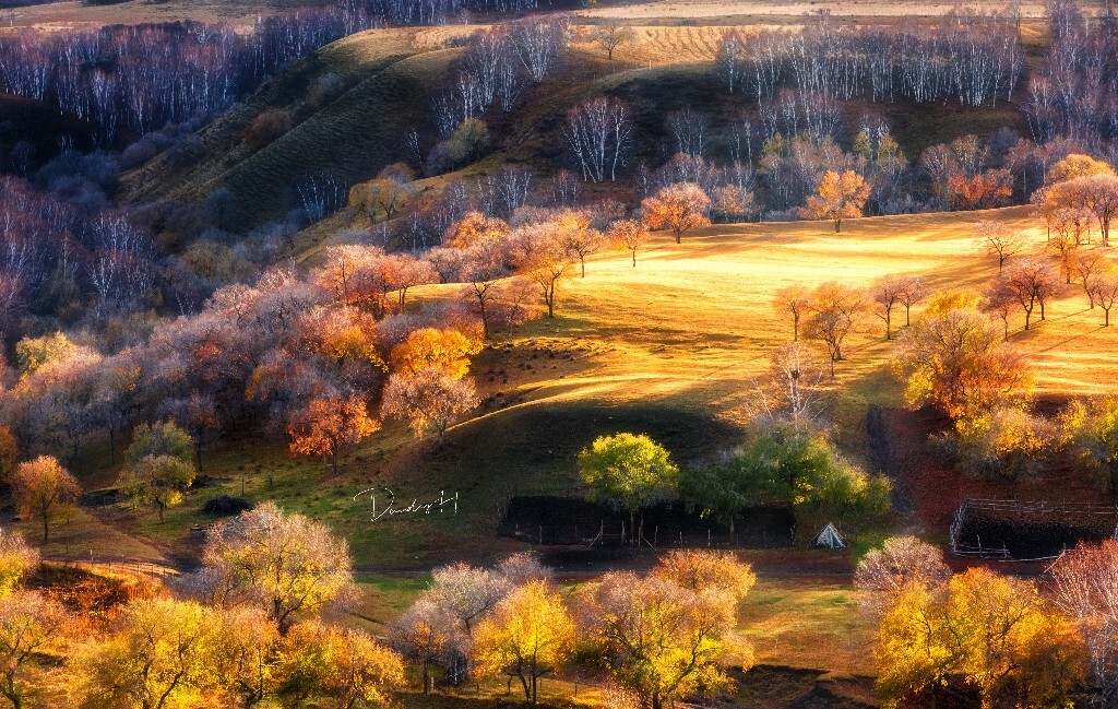 赶上乌兰布统秋天的尾巴，记录下最美好的秋景