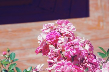 F5553DFF-D2D8-4B4C-BBAB-66A696075B78/L0/001