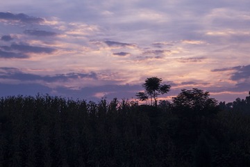 朝霞