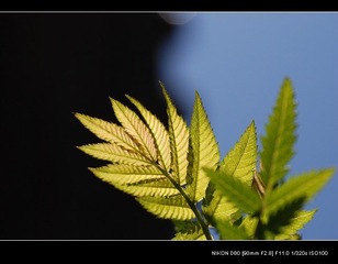 5923e8c016728b6b9940abf515651aa4.jpg