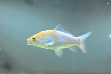 7HC_6385