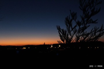 IMG_1277.jpg