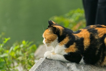 _MG_0538.jpg