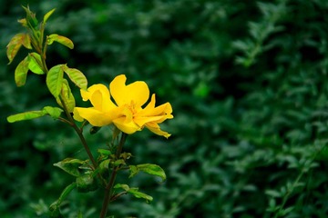 _MG_0611.jpg