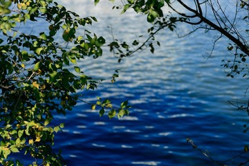 _MG_0388.jpg