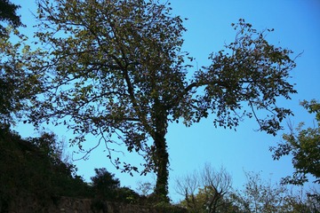 _MG_0756.jpg