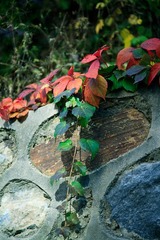 _MG_0757.jpg