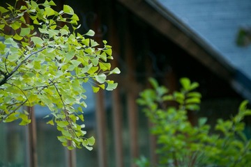 _MG_0770.jpg