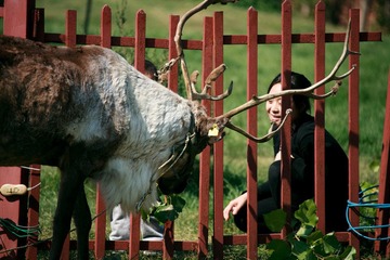 _MG_0704.jpg