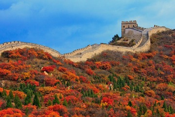 _MG_0846.jpg