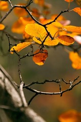 _MG_0862.jpg