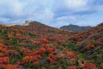 _MG_0869.jpg