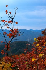_MG_0914.jpg