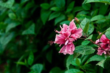 _MG_1499.jpg