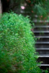 _MG_1521.jpg