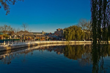 _MG_2356.jpg