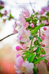 _MG_4279.jpg
